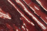 Polished Snakeskin Jasper Slab - Western Australia #221521-1